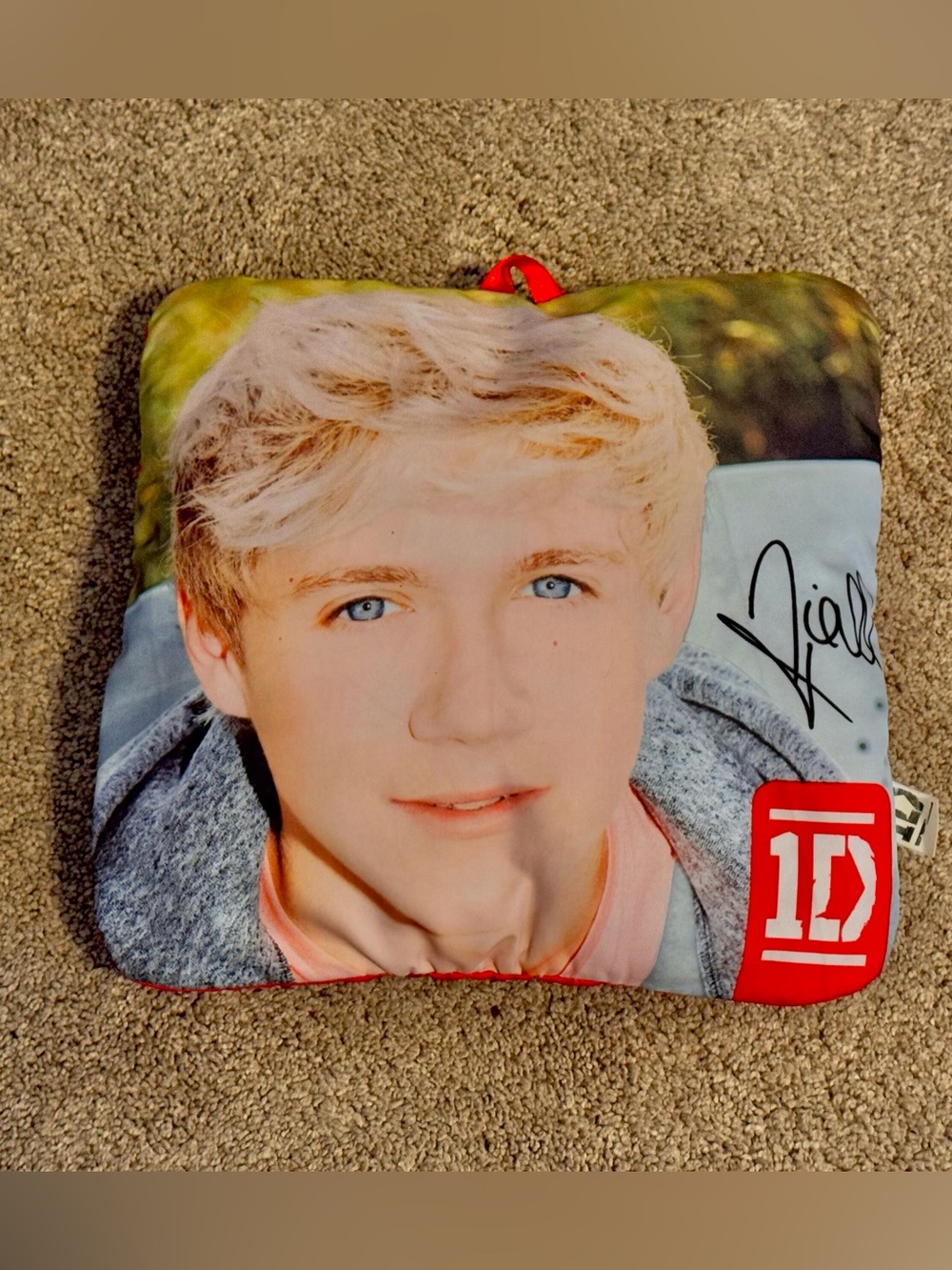 Niall Horan Portrait Pillow